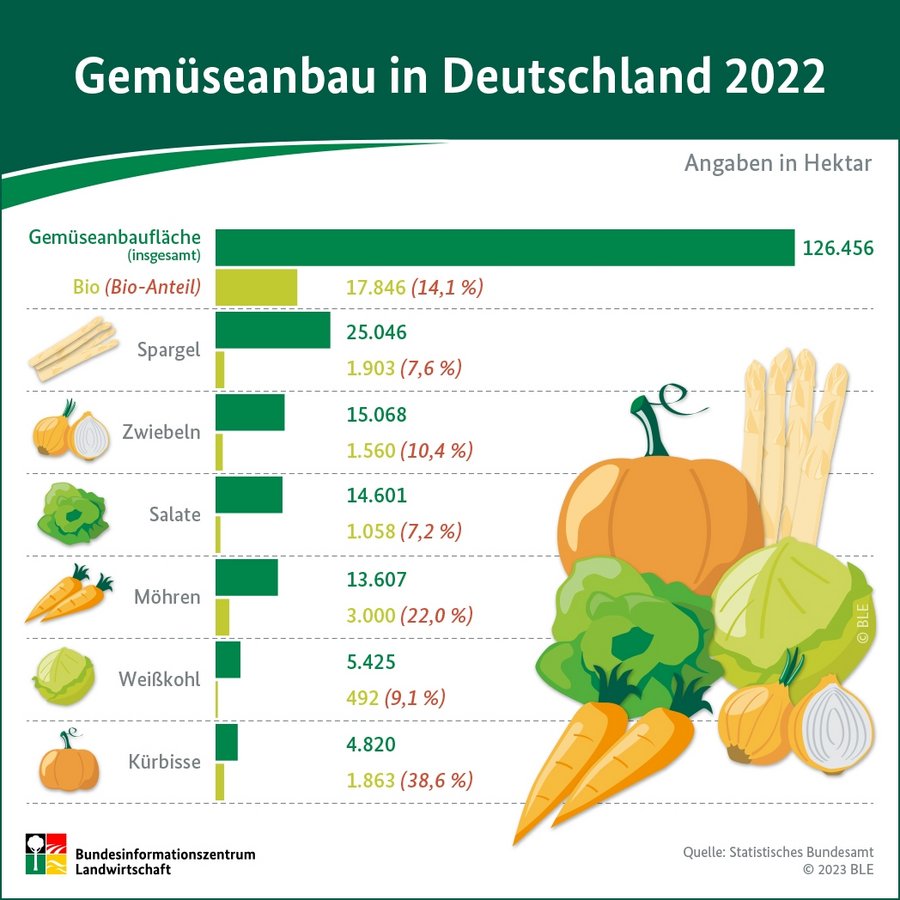 Infografik zum Gemüseanbau in Deutschland